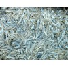 ALL AMERICAN Tournament Quality Soft Plastics 50ct BLUE GLIMMER 2"