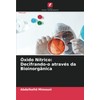 Óxido Nítrico: Decifrando-o através da Bioinorgânica