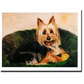 Silky Terrier and Ball Notecards