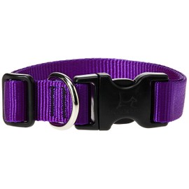 LupinePet Basics 1" Purple 12-20" Adjustable Collar for Medium and Larger Dogs