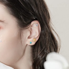 ADRAMATA 21 Paar Ohrstecker Chirurgenstahl Ohrringe 𝐒𝐜𝐡𝐰𝐚𝐫𝐳 für Damen Herren Winzige Knorpelohrringe Ohrstecker für Knorpel Tragus Daith Helix Ohrpiercing Flache Rückseite Ohrringe