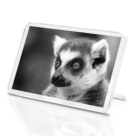 1 x Fridge Magnet - Lemur Monkey Head Wildlife #36738