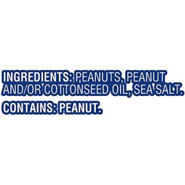 Unbranded Planters Nuts on The Go Salted Peanuts - 1 OUNCE (PACK OF 96)