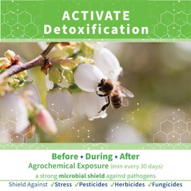 STRONG MICROBIALS SuperDFM+P801 Honey Bee Probiotics for Pesticide Protection - Unique Formula with 7 Powerful Strains of Bacteria - All Year Use for Detoxification & Immunity (8.8 Ounce /50 Apps)
