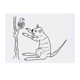 'Cat and bird' Temporary Tattoo - Water Resistant, Skin-Safe, Non-Toxic Transfer (TO00062665)