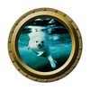 Harp Seal - Porthole Wall Decal