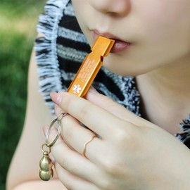 Vivaday pocket safety whistle custom medical ID keychain | mini capsule with contact info | easy to carry | for backpacking and daily use YA6000