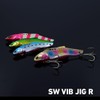 DAIWA Sea Bass Lure SW Vibe Jig R60 Blupin Sardine