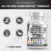Clean Nutra Activated Charcoal Capsules Shilajit Pills Probiotic Digestive Enzymes