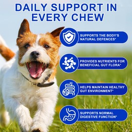Probiotics for Dogs, 150Pcs Probiotics for Dogs Gut Health, Pre and Probiotic for Dog Digestive Health Support, Boosts Gut Health & Immunity, Duck Flavor