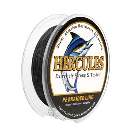 Hercules Super Strong 300M 328 Yards Braided Fishing Line 6 LB Test for Saltwater Freshwater PE Braid Fish Lines 4 Strands - Black, 6LB (2.7KG), 0.08MM