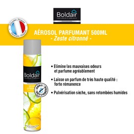 boldair Lufterfrischer Zesten Samen