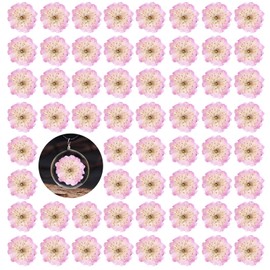 60PCS Pink Dried Pressed Cherry Flowers, Real Natural Dried Pressed Cherry Blossom Flowers, Dry Flowers for Resin DIY Ornament Crafts Candle Making
