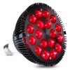 DS Picnic Red Light Therapy Lamp 54 W 18 LED