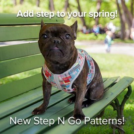 Cloak & Dawggie | Nylon Step-N-Go Small Dog Harness Step in Teacup to 25 LBS | Vest Easy On & Adjustable | Padded Soft Doggy Wrap Vest (7300/7350) (XS 8-12 LBS 15-16" Chest, Mod Plaid)