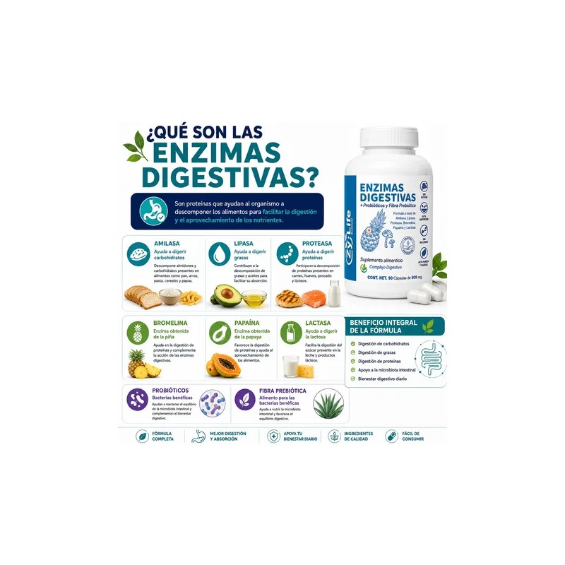6 Enzimas Digestivas + Probióticos | 90 Caps | Digestión