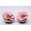 Fine Porcelain Pink Hibiscus Flowers Salt & Pepper Shakers Set,