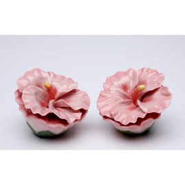 Fine Porcelain Pink Hibiscus Flowers Salt & Pepper Shakers Set, 2-1/2"