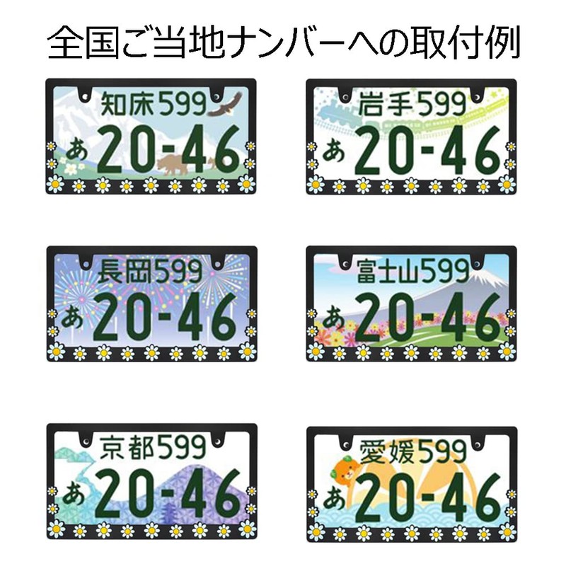 DAISY License Plate Frame, 3D Floral Pattern, Matte, License Frame,