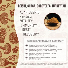 Hamilton’s Body Blend | Chaga, Cordyceps, Reishi, Turkey Tail | Organic Mushroom Extract Powder for Immune, Endurance, and Stress Support | High Potency | 30% Beta Glucans | GF, Non-GMO, Vegan (100g)