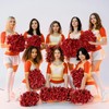 Cheerleader Pom Poms, Pack of 2 Red Metallic Foil Pom