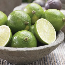 Tree Persian/Tahiti/Bearss Lime Tree - 24-36" Live Plant - Potted - Citrus latifolia