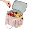 NISHEL Lunch Bag for Women, Insulated Leakproof Cooler Case with