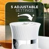 AIR WICK® SCENTED OIL - Kit - 1+1 Pulse Vibrant™