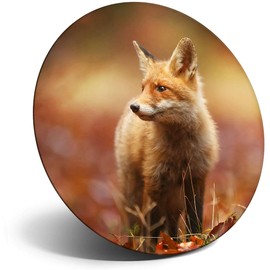 Destination Vinyl ltd Magnet for Refrigerator, Fridge - Cute Ginger Fox Autumn Wildlife for Office, Cabinet and Whiteboard, Magnetic Stickers, 8116
