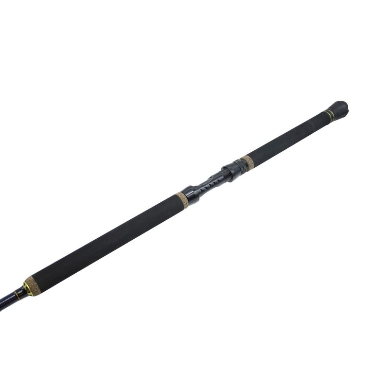 Team Deep Sea North Power Boat 210 cm, 300-900 g,