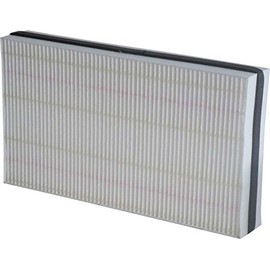 Air Filter Replacement MAICO WSF 170
