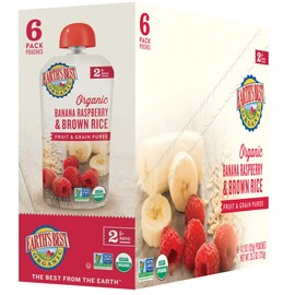 Earth's Best Organic Stage 2 Baby Food, Banana Raspberry & Brown Rice, 4.2 oz Pouch (Pack of 12)