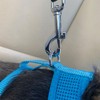 Sakura 2 in 1 Dog Lead Seat Belt Strap