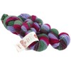 MEILENWEIT Merino 50 Hand-Dyed Set of 2 218 Kullu