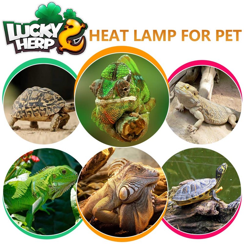 LUCKY HERP 125 Watt UVA+UVB Vapor Heat Lamp Bulb, High