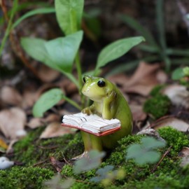 XRI XURUOYI Miniature Small Frog Reading Book,Rabbit Reading Book with Bird，Animal Figurines Fairy Garden Supplies Terrarium Accessories DIY Miniature Garden (Frog Reading)