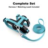 Plutus Pet Adjustable Cat Harness and Lead Set, Quick Release,