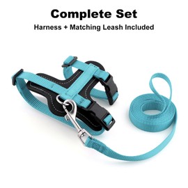 Plutus Pet Adjustable Cat Harness and Lead Set, Quick Release, Escape Proof Nylon Vest with Leather Trim for Kitten, Small Medium Large Cats, Light Blue