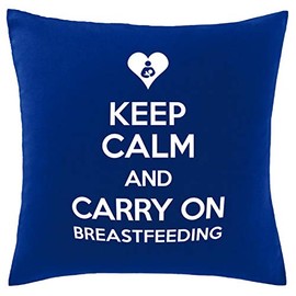 Hippowarehouse Keep Calm and Carry On Breastfeeding Printed bedroom accessory cushion cover case 41x41cm