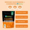 Wellthy Glucosamine 1500mg, Chondroitin 1200mg & MSM 300mg – Joint