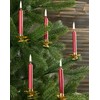 Eika Premium Christmas Tree Candles - Set of 20 Traditional