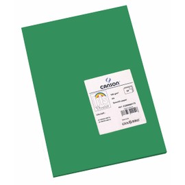 Canson Iris Vivaldi A4 185 gsm Smooth Colour Paper - Moss Green (Pack of 50 Sheets)