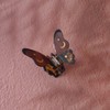 White Spotted Butterfly Hair Clips,Acetate Hair Clip,Star Butterfly Claw Clips