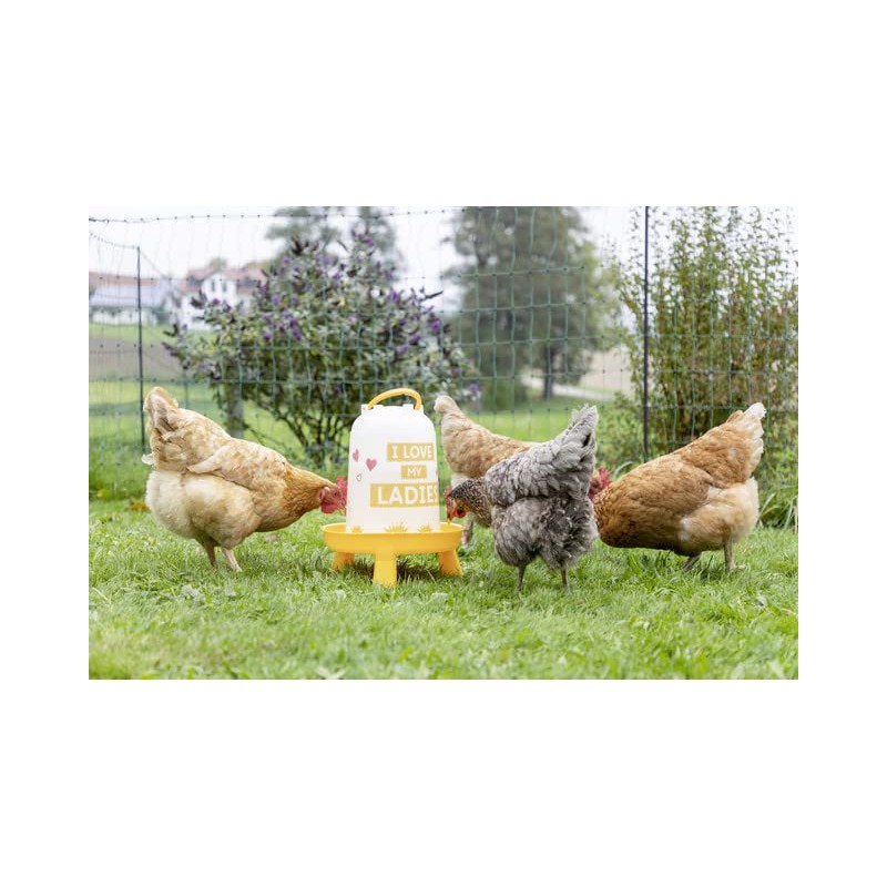 Kerbl Orange 3.0 Litre Plastic Feeder with Feet with Handle
