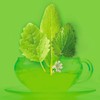 Yasashi Tea | Pure Herbs | 16 Pyramid Bags |