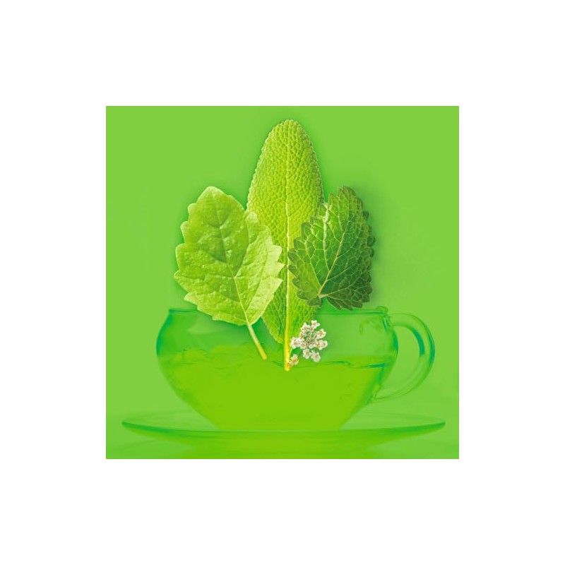 Yasashi Tea | Pure Herbs | 16 Pyramid Bags |