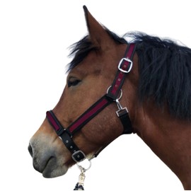 Halter for Horses Cold Blood Headcollar XXfull, Stable Halter Adjustable 2 Compartments on Chin Strap and Headpiece (Black-Bordeaux, XXFull (Cold Blood))