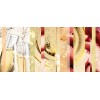 Glade Aromatizante Glade Notas Champagne Y Durazno 2 Refills 21ml