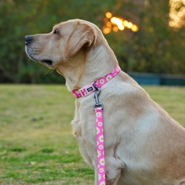 Olahibi Dog Collar and Leash Set, Cute Pink Daisy Pattern, Polyester Material, 5ft Leash, for Large Dogs.(L, Daisy Set)