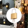 PINGEUI 12 Pack Small Brass Padlock, Padlocks with Keys, Mini
